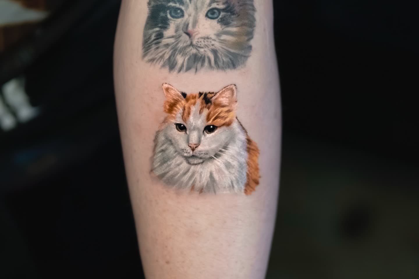 Berkay Uzun — Color Portrait tattoo, Ink People Istanbul